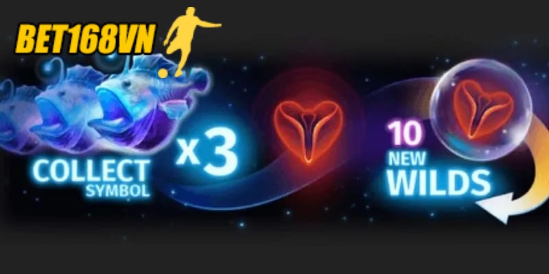 Người chơi nên tìm hiểu kỹ về các loại Wild khác nhau